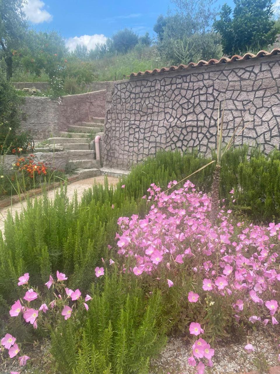 Villa Kapllani *