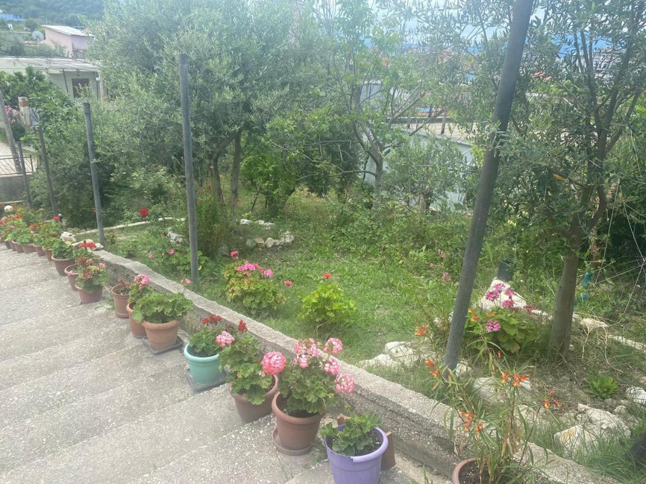 Villa Kapllani Vlorë